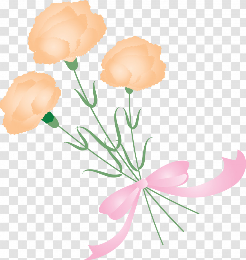 Mothers Day Carnation Mothers Day Flower Transparent PNG