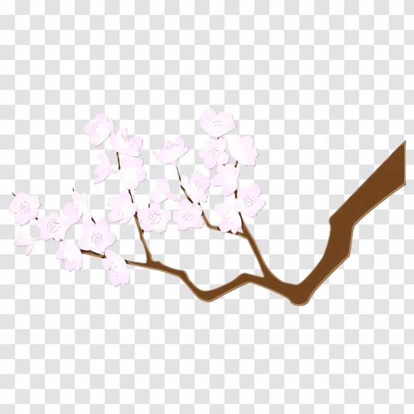 Cherry Blossom - Plant Transparent PNG