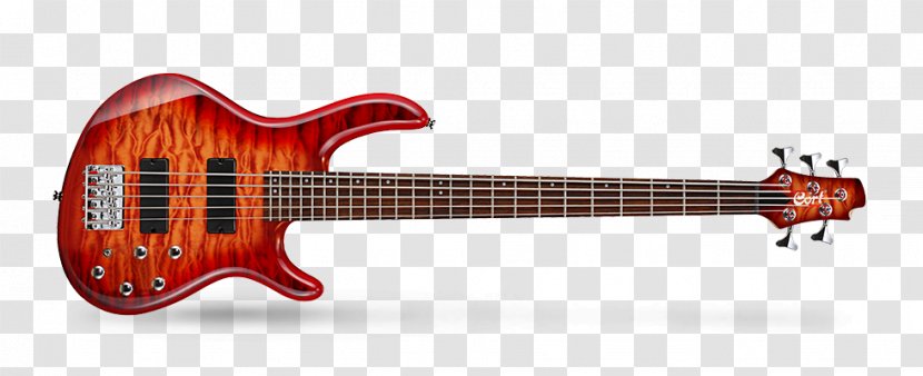 Fender Bass V Guitar Cort Guitars String Instruments - Frame Transparent PNG