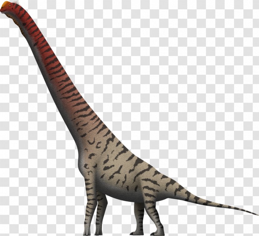 Giraffatitan Brachiosaurus Velociraptor Giraffe Cedarosaurus - Macronaria Transparent PNG