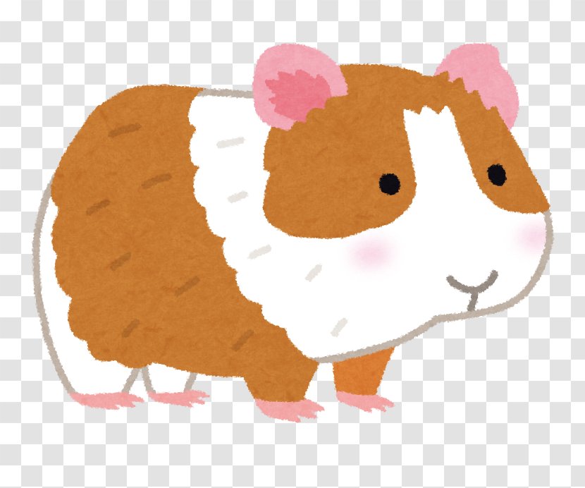 Guinea Pig Cat Hamster Dog いらすとや - Nose Transparent PNG