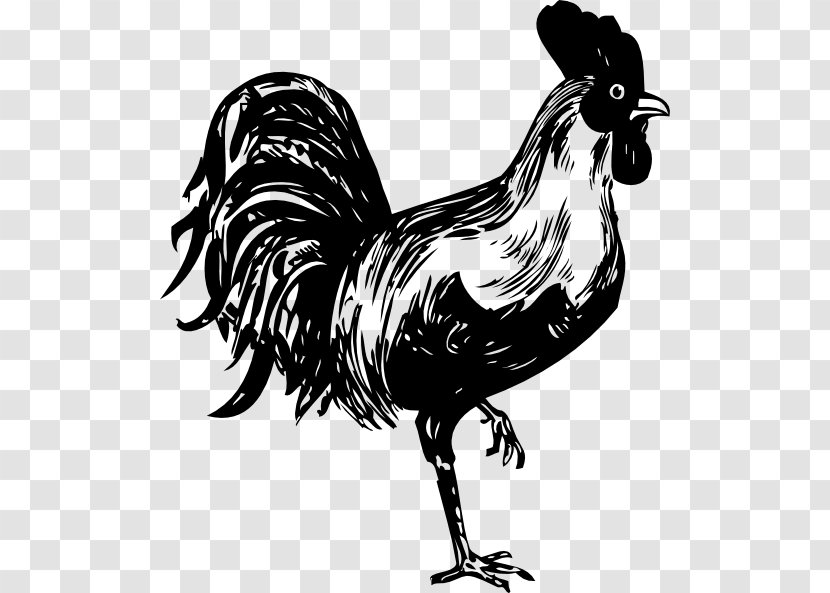 Chicken Rooster Clip Art - Monochrome - Picture Of A Transparent PNG