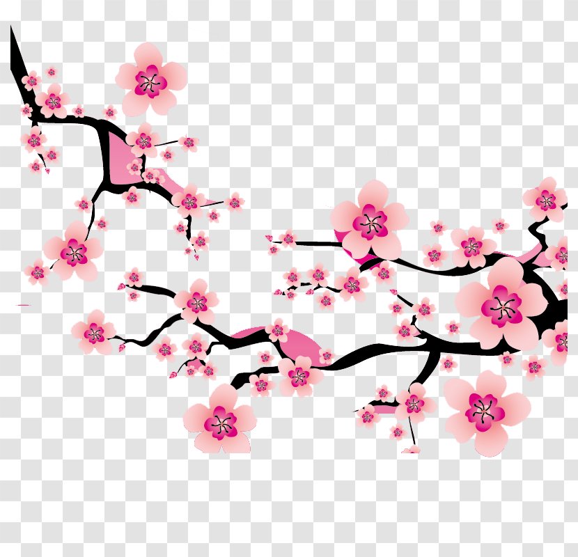 Cherry Blossom Plum Clip Art - Plant - Flower Transparent PNG
