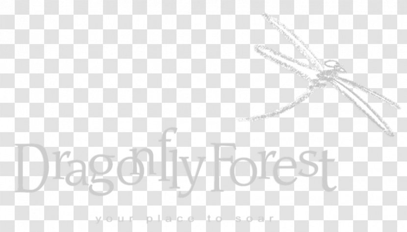 Logo Brand Font Dragonfly Forest Design - Tile - Persistent Dream Transparent PNG