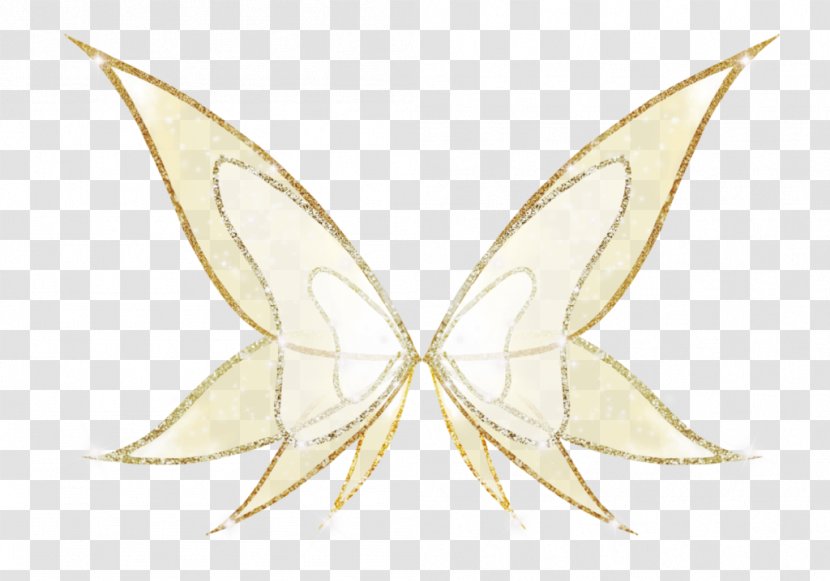 Moth Symmetry Art Line Pattern Transparent PNG