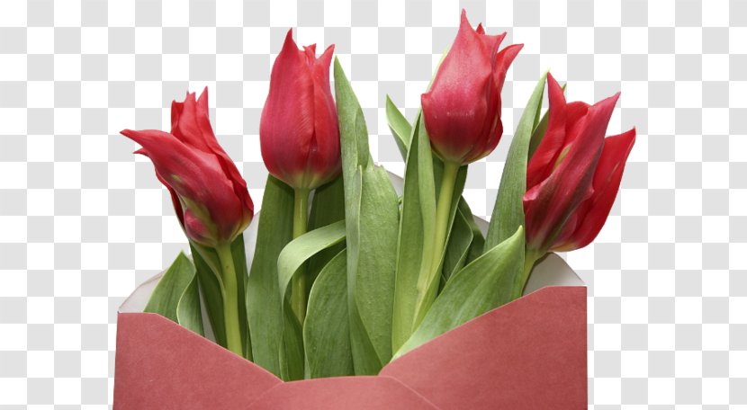 Wilayah God In Islam Axefd Al-Ghadir Alhamdulillah - Flower - Envelope Decoration Romantic Tulips Transparent PNG
