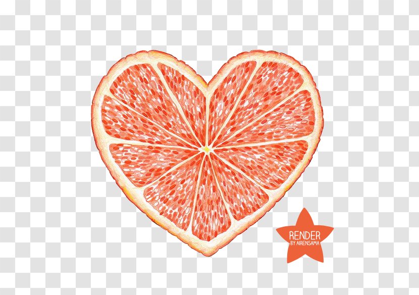 Blood Orange Drawing Heart Transparent PNG
