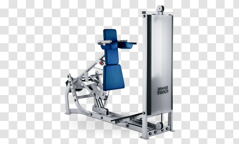 Squat Exercise Equipment Fitness Centre Row - Gym Squats Transparent PNG