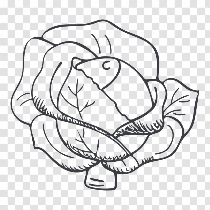 Black And White Clip Art - Heart - Hand Painted Cabbage Transparent PNG