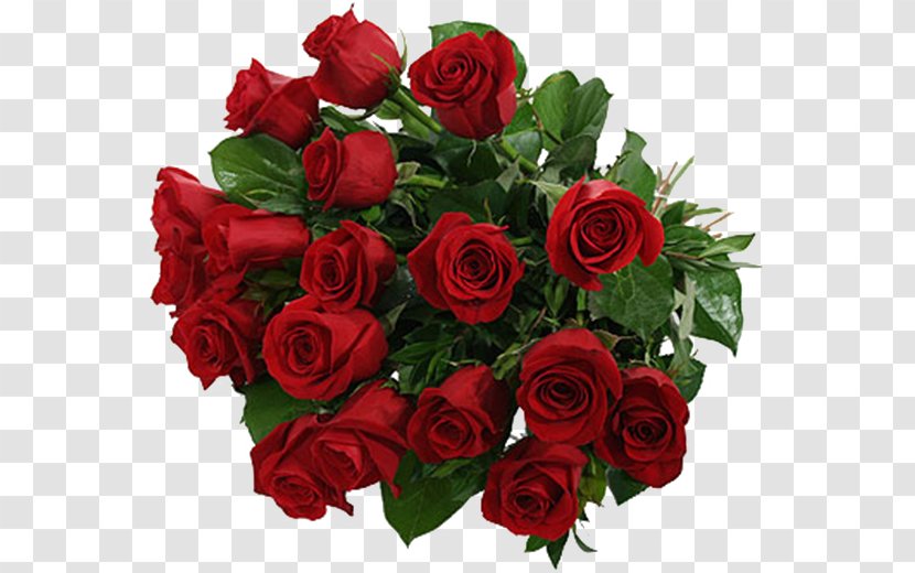 Birthday Flower Bouquet Rose Floristry - Floribunda - Calligraphy Writing Quotes Transparent PNG
