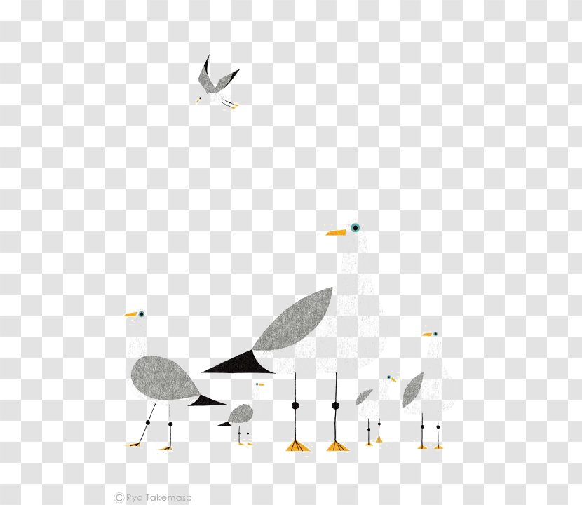 Drawing Bird Illustrator Illustration - Art - Pigeon Flat Transparent PNG