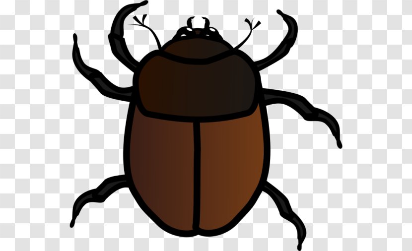 Beetle Clip Art Free Content True Bugs Illustration - Darkling Beetles - Queen Ecommerce Transparent PNG