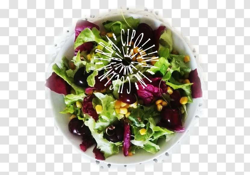 Vegetarian Cuisine Salad Recipe Leaf Vegetable Food - Dish Transparent PNG