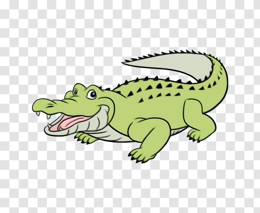 Alligators Crocodile Drawing Tutorial Cartoon - American - Crocodilia Transparent PNG