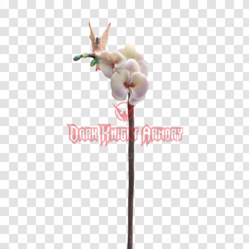 Fairy Cut Flowers Plant Stem Moth Orchids - Magic Transparent PNG