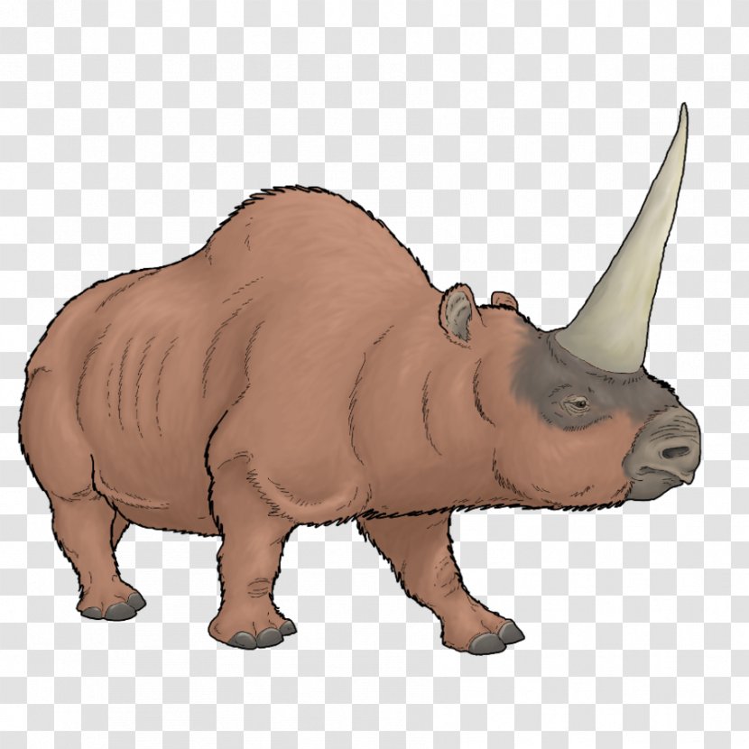 Elasmotherium Sibiricum Horn Javan Rhinoceros Rhinocerotoidea - Fauna Transparent PNG
