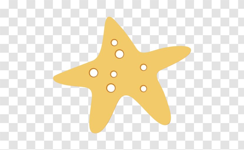 Yellow Star - Echinoderm - Marine Invertebrates Transparent PNG