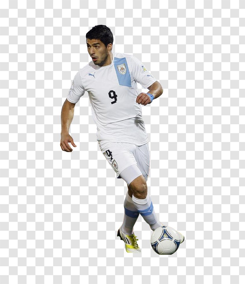 Taringa! User - Tree - Suarez Uruguay Transparent PNG