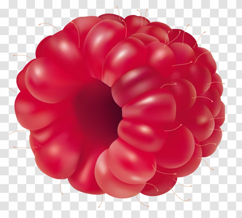 Raspberry Fruit Clip Art - Mix Transparent PNG