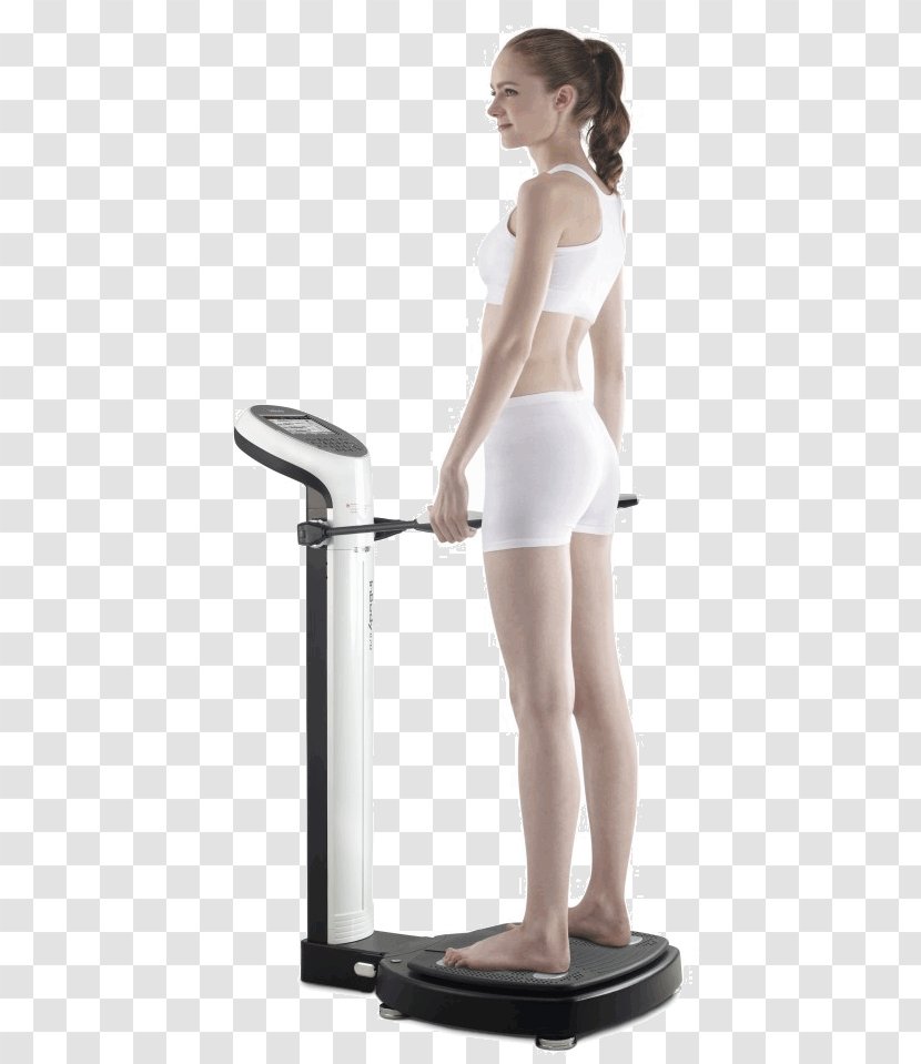 Body Composition InBody Bioelectrical Impedance Analysis Measurement Adipose Tissue - Tree - Fat Transparent PNG