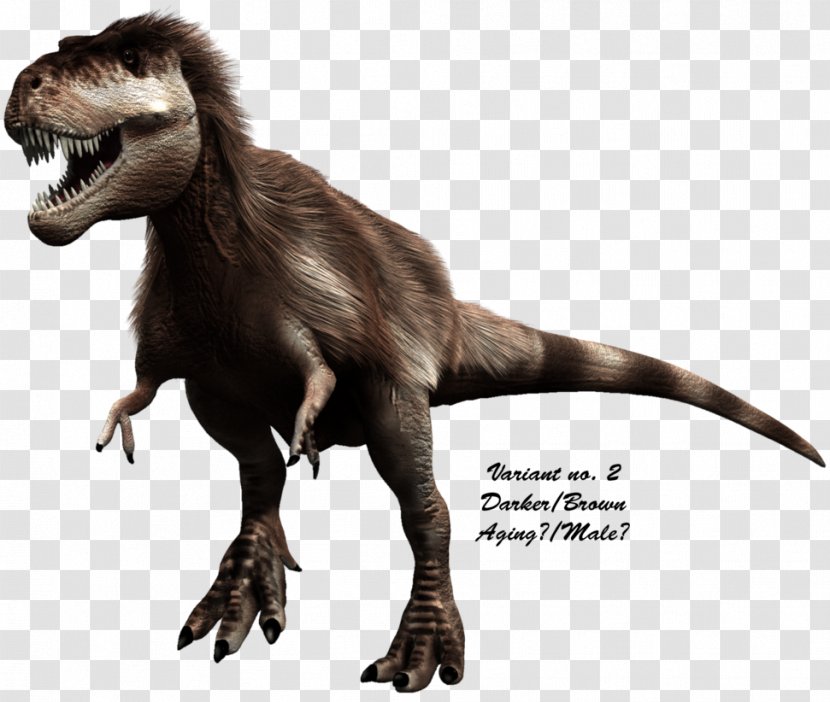 Tyrannosaurus Dinosaur Velociraptor Yutyrannus Raptorex - Organism - Real Mustache Transparent PNG