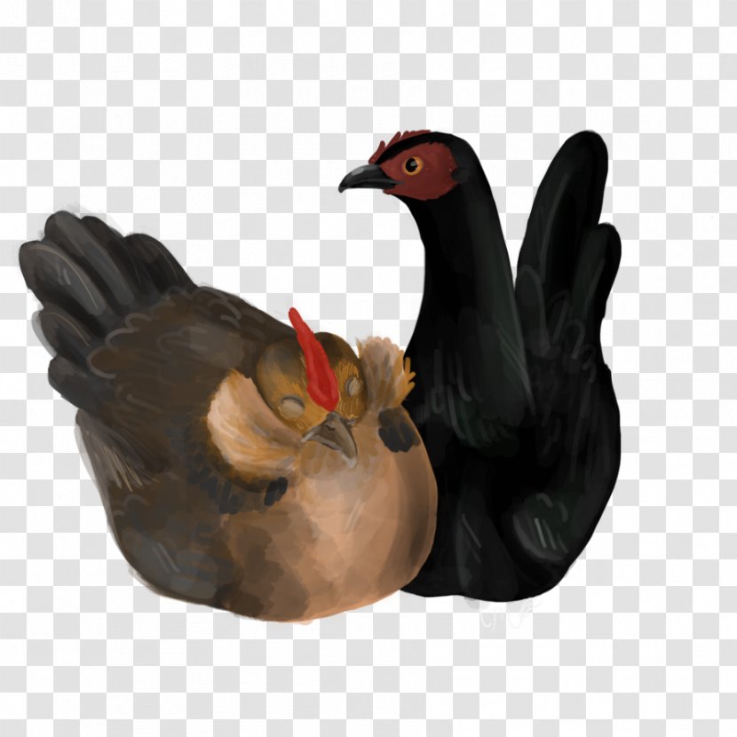 Chicken As Food Rooster Drawing Stuffing Transparent PNG