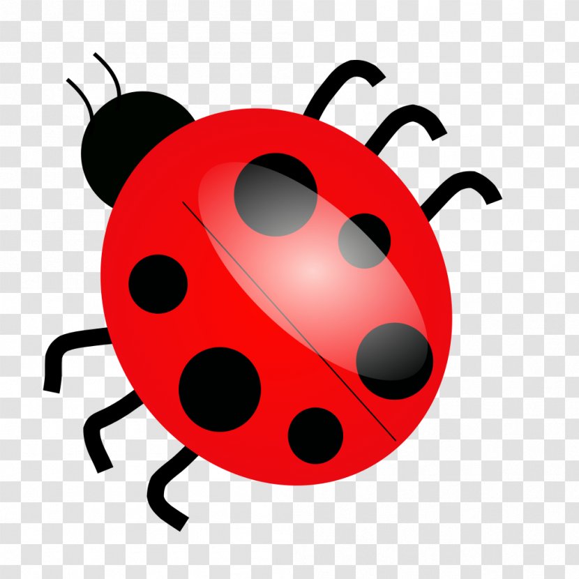 Beetle Ladybird Clip Art - Insect - Bugs Transparent PNG