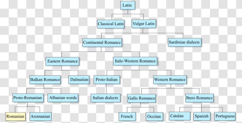 Romanian Language Romance Languages Dialect - Multimedia - Various Transparent PNG