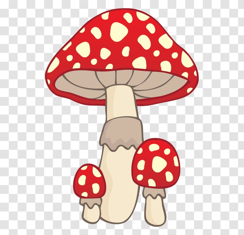 Mushroom Illustration - Fungus - Mushroom,fungus Transparent PNG