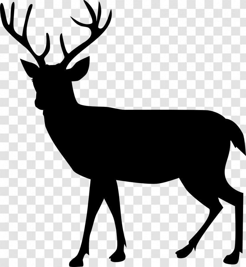 Reindeer Moose Silhouette Illustration - Mammal - Antelope Transparent PNG