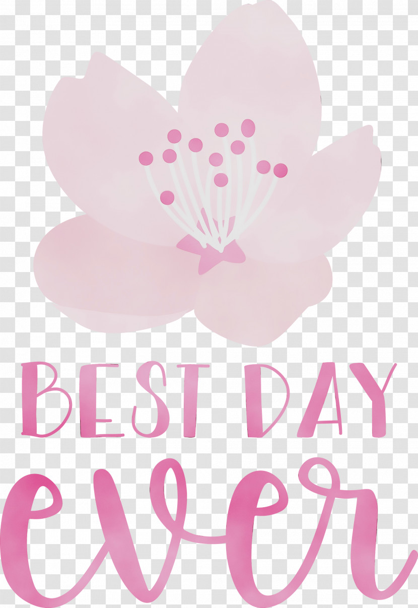 Floral Design Transparent PNG