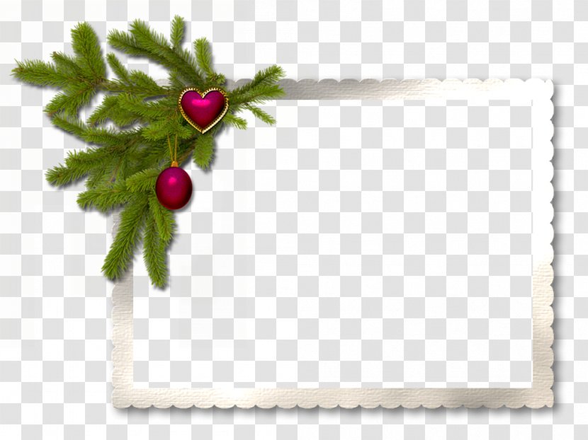 Picture Frames Christmas Decoration New Year Birthday - Photography Transparent PNG