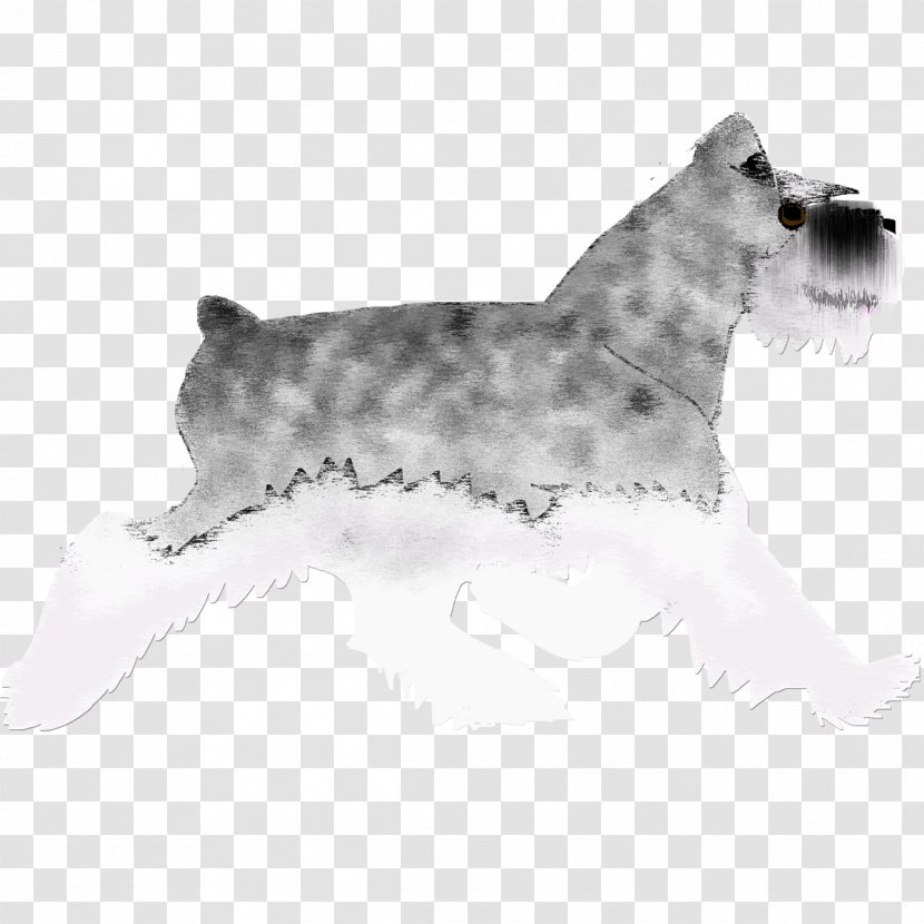 Miniature Schnauzer Lakeland Terrier Cairn Glen Cesky - Whiskers - Salt Pepper Transparent PNG
