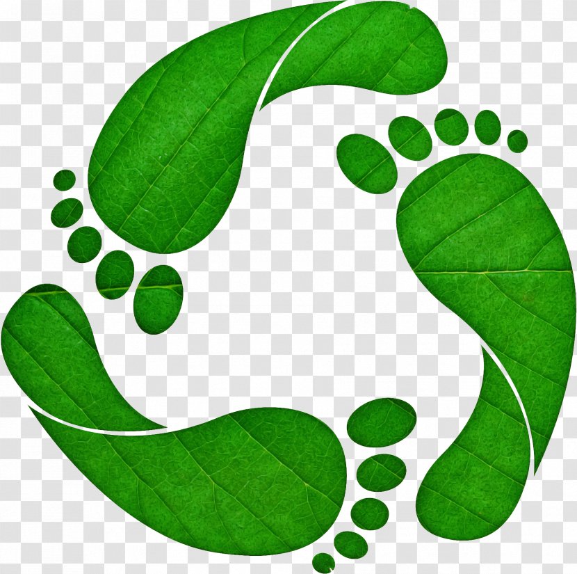 Green Leaf Clip Art Plant Symbol - Legume Transparent PNG