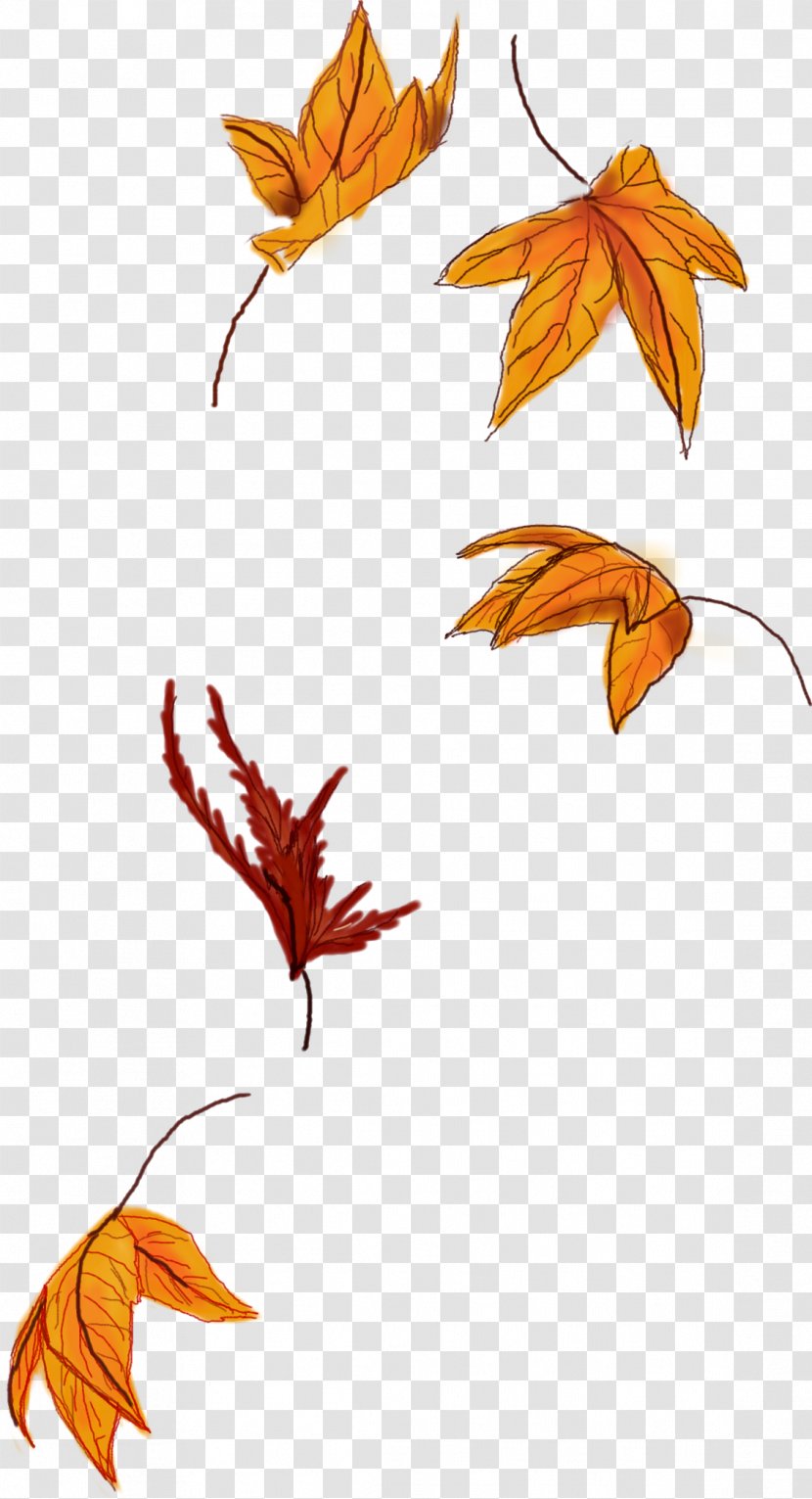 Autumn Leaf Color Maple Sticker - Wing Transparent PNG