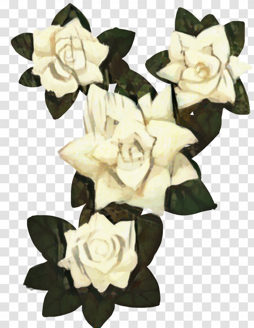 Drawing Of Family - Plant - Artificial Flower Magnolia Transparent PNG