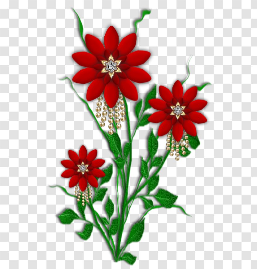 Ecosystem Uruguay Dahlia Forest Ecology Food Chain - Natural Environment - Web Transparent PNG