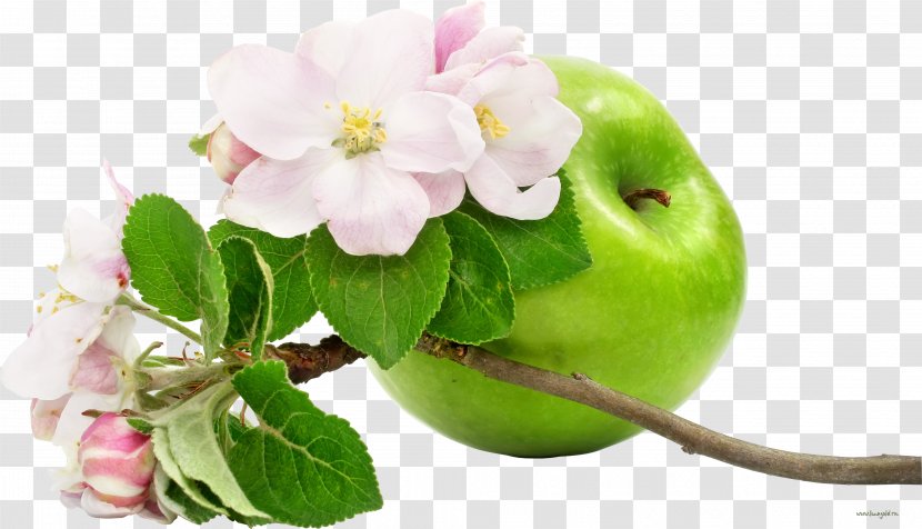 Apple Flower Fruit Wallpaper - Pink Flowers - Photography Transparent PNG