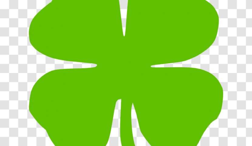 Four-leaf Clover Shamrock Clip Art Image - Tree - Transpiration Transparent PNG