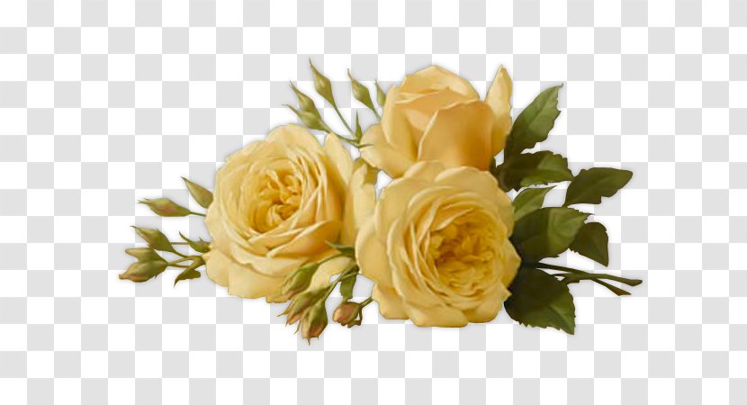 Desktop Wallpaper Flower Rose - Order - Apricot Blossom Yellow Transparent PNG