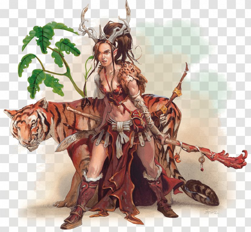 The Complete Druid's Handbook Dungeons & Dragons Online Wizard - Fictional Character Transparent PNG