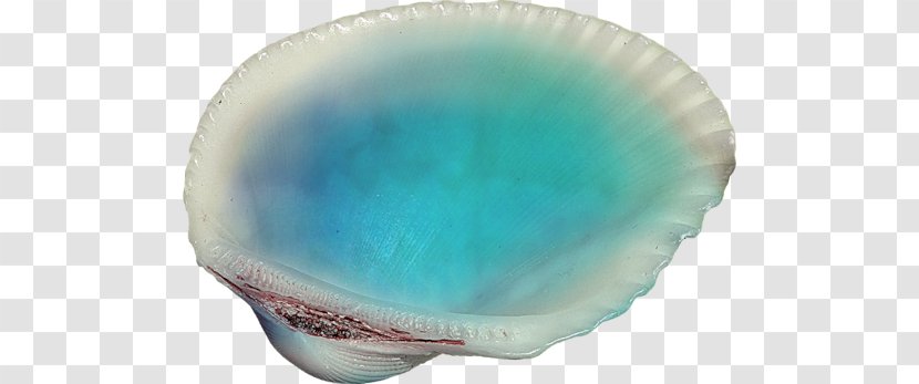 Mussel Bivalvia Castle Of Glass - Mollusc Shell - Graphics Software Transparent PNG