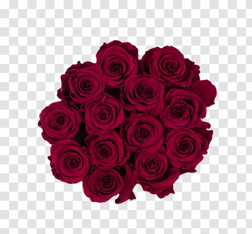 Garden Roses Red Burgundy Pink Flower - Color - Burgandy Transparent PNG