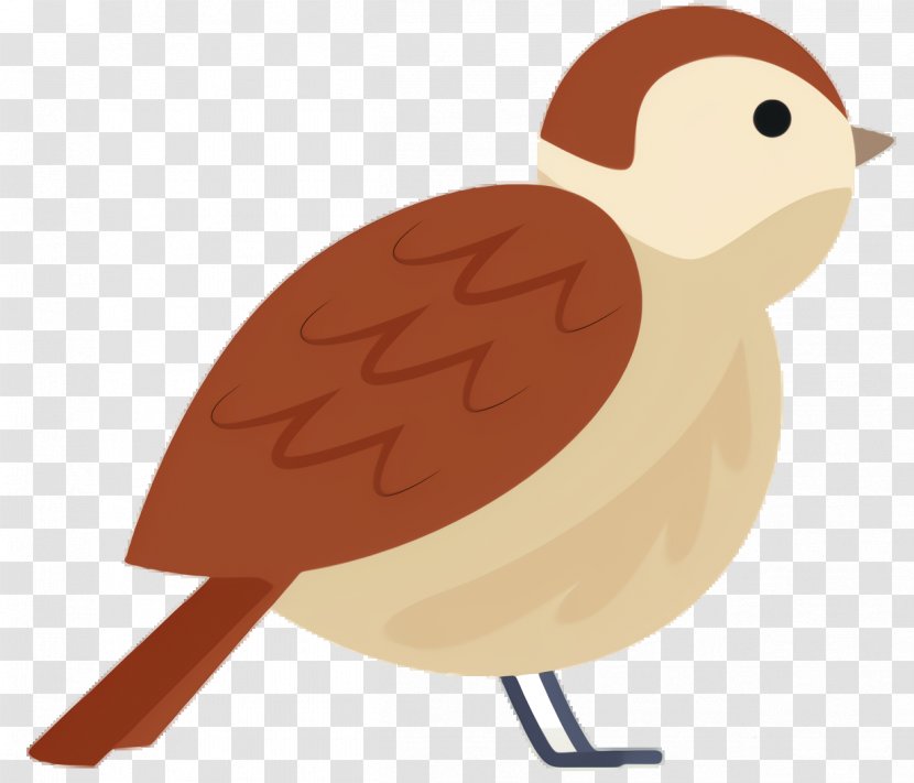 Chicken Cartoon - Ducks - House Sparrow Perching Bird Transparent PNG