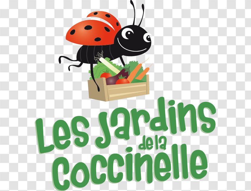 Les Jardins De La Coccinelle Saint-Léger-les-Vignes Garden Insect Short Food Supply Chains - Ladybird Transparent PNG