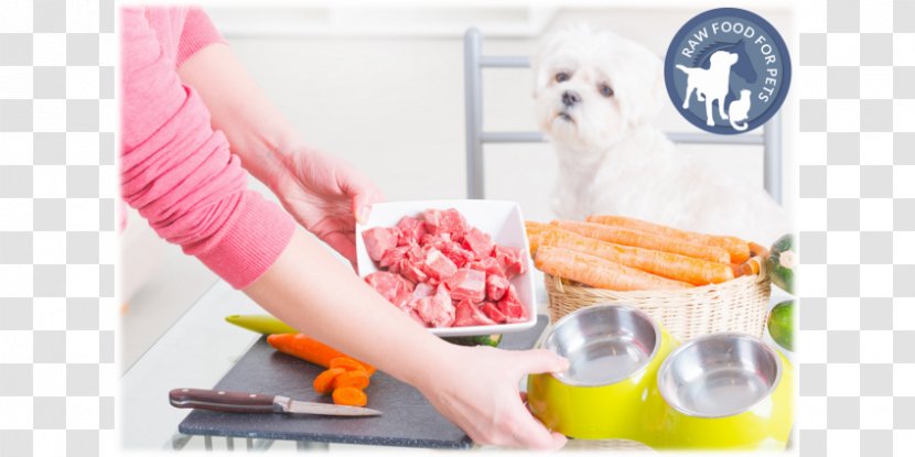 Dog Food Raw Foodism Cupcake Diet - Eating Transparent PNG