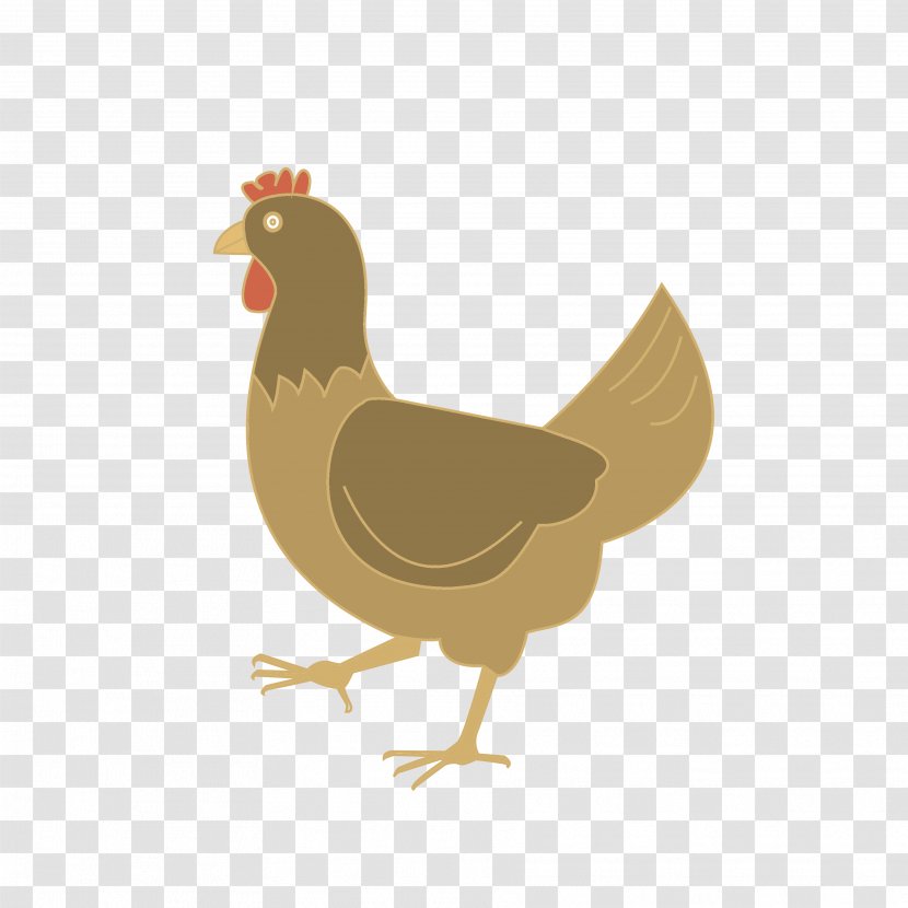 Rooster Chicken Bird Illustration - Galliformes - Cock Transparent PNG
