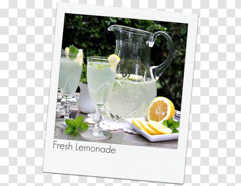 Gin And Tonic Table-glass Lemonade - Serveware - Glass Transparent PNG