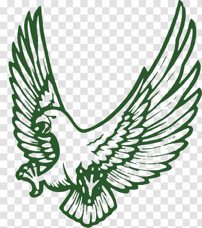Catholic School Falcon Bird - Catholicism Transparent PNG