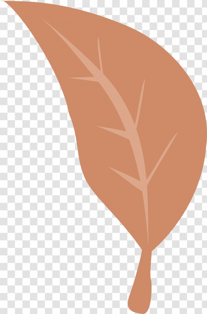 Leaf Angle Font Biology Plant Structure Transparent PNG